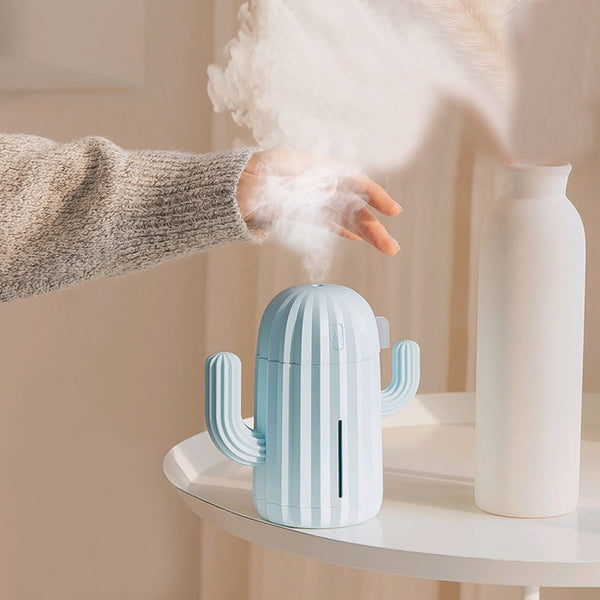 Cactus Air Humidifier and gift item